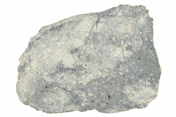 Eucrite Meteorite Slice ( g) - From Vesta Minor-Planet #280632